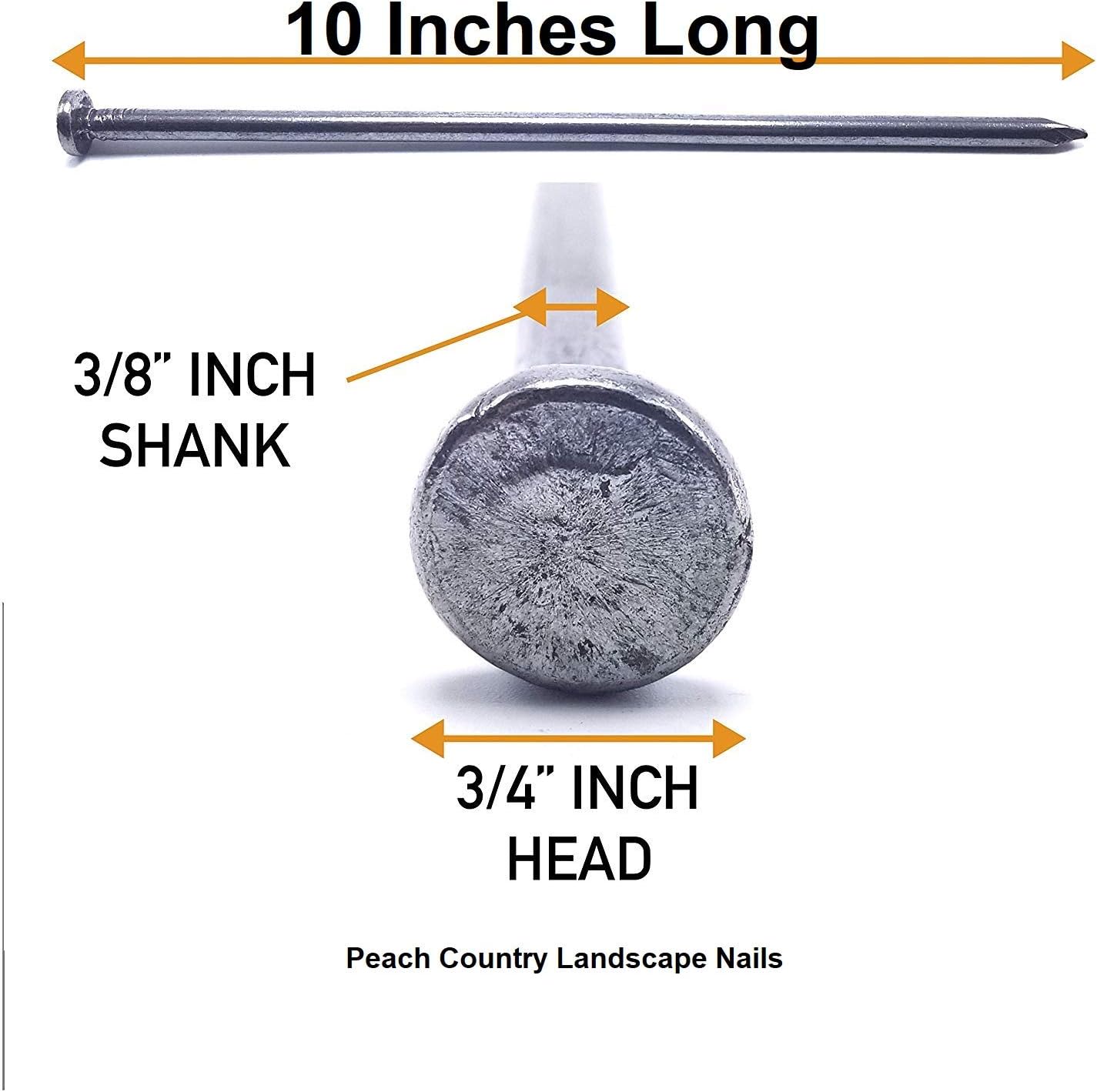 Peach Country Outdoor Heavy Duty (10 Count) - Round Metal Landscape & Paver Edging Anchoring Stake, 10-Inch Length - Bright Spike Timber Nail, Tent Spikes, Camping, Trapping, Landscape, (10)