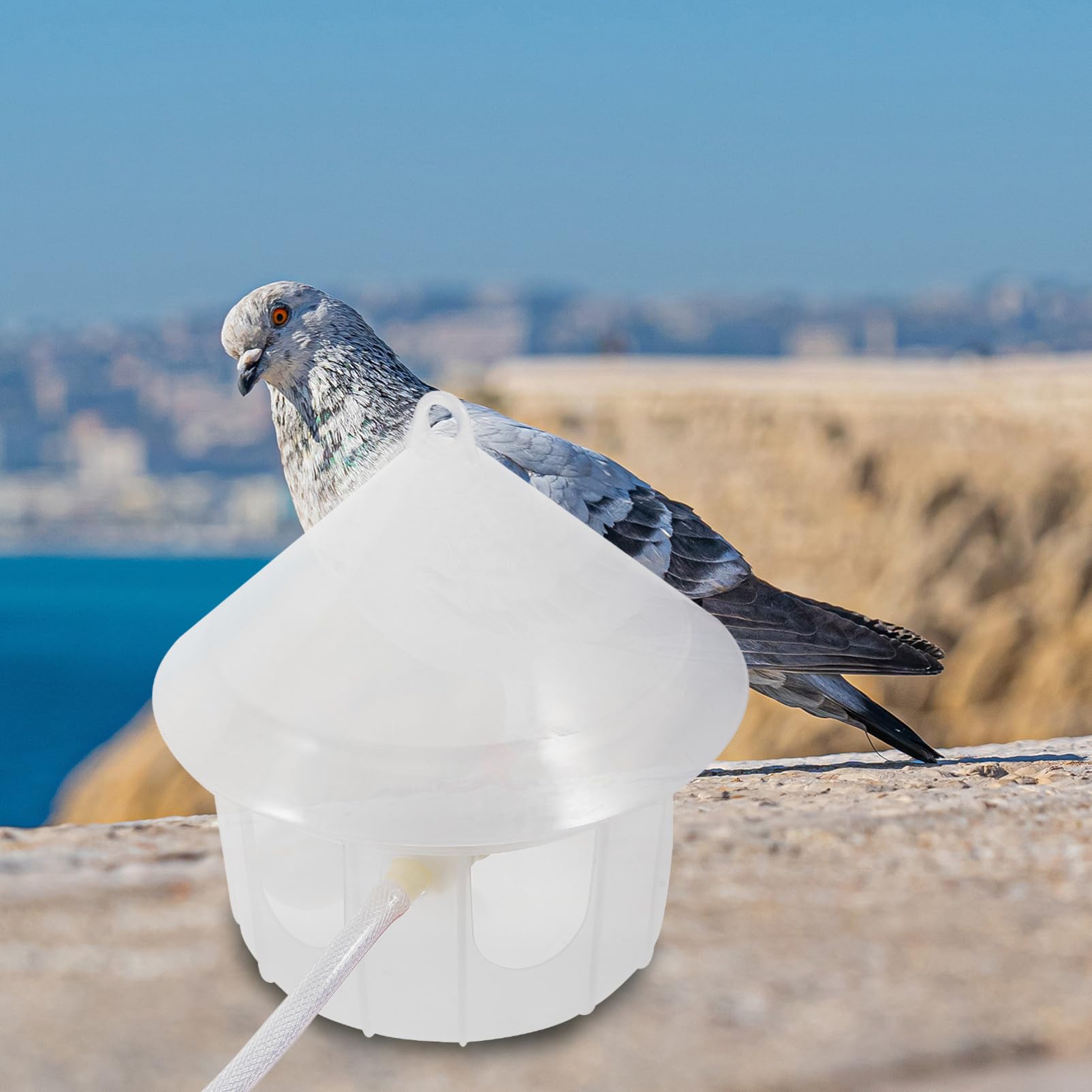 Toddmomy Bebedero para Palomas Automático De Plástico Comedero para Jaulas De Pájaros Suministros para Aves Adecuado para Criaderos De Palomas y Codornices