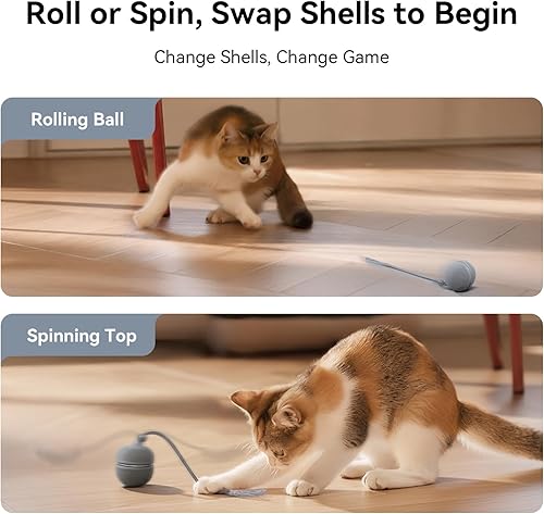 Miniatura 7 de Cheerble Juguetes interactivos para gatos de interior  Wicked Ball Duo 2 juguete automático para gatos con conchas intercambiables duales, juguete