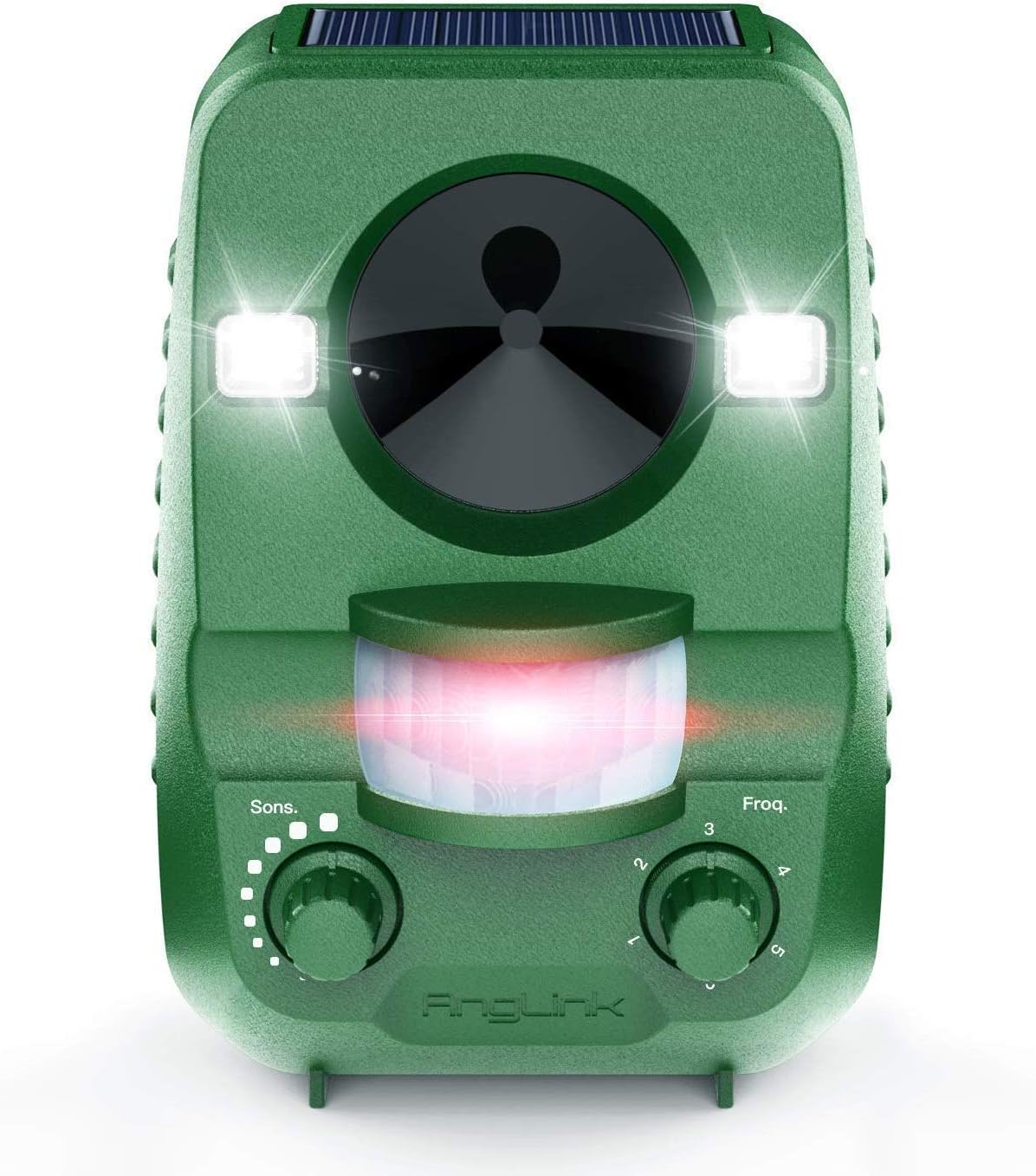 animali ad ultrasuoni