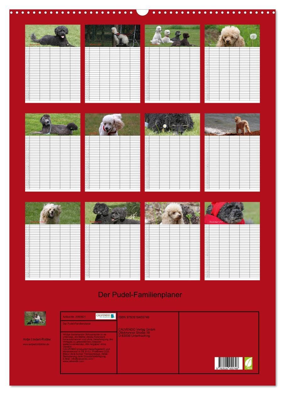 Der Pudel-Familienplaner (Wandkalender 2026 DIN A2 hoch), CALVENDO Monatskalender: Der Pudel-Kalender für die ganze Familie (CALVENDO Tiere)