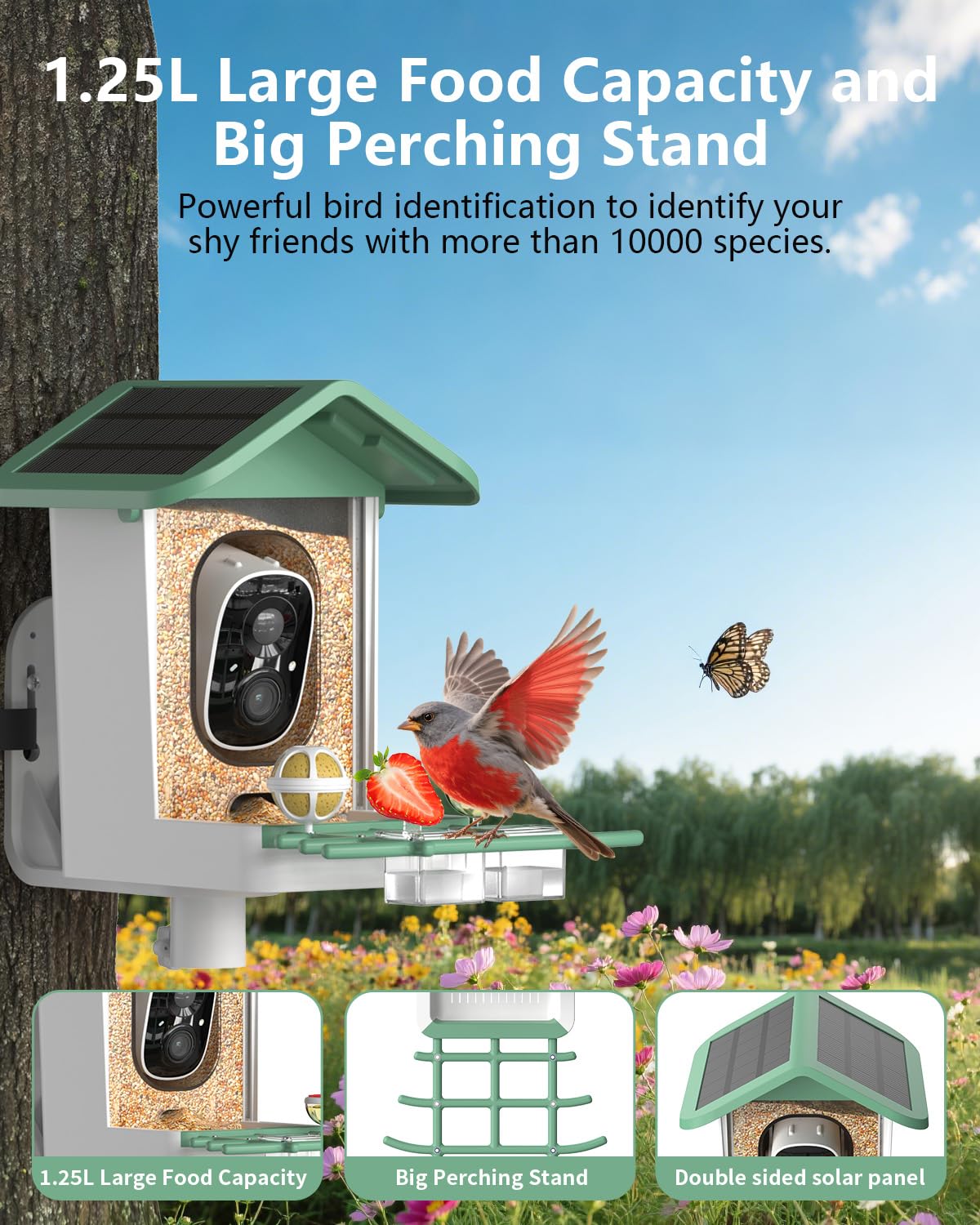 Comedero para pájaros con cámara, cámara inteligente 2K para pájaros con energía solar, identificación de especies de pájaros, notificaciones instantáneas, regalo ideal para familiares y amantes de