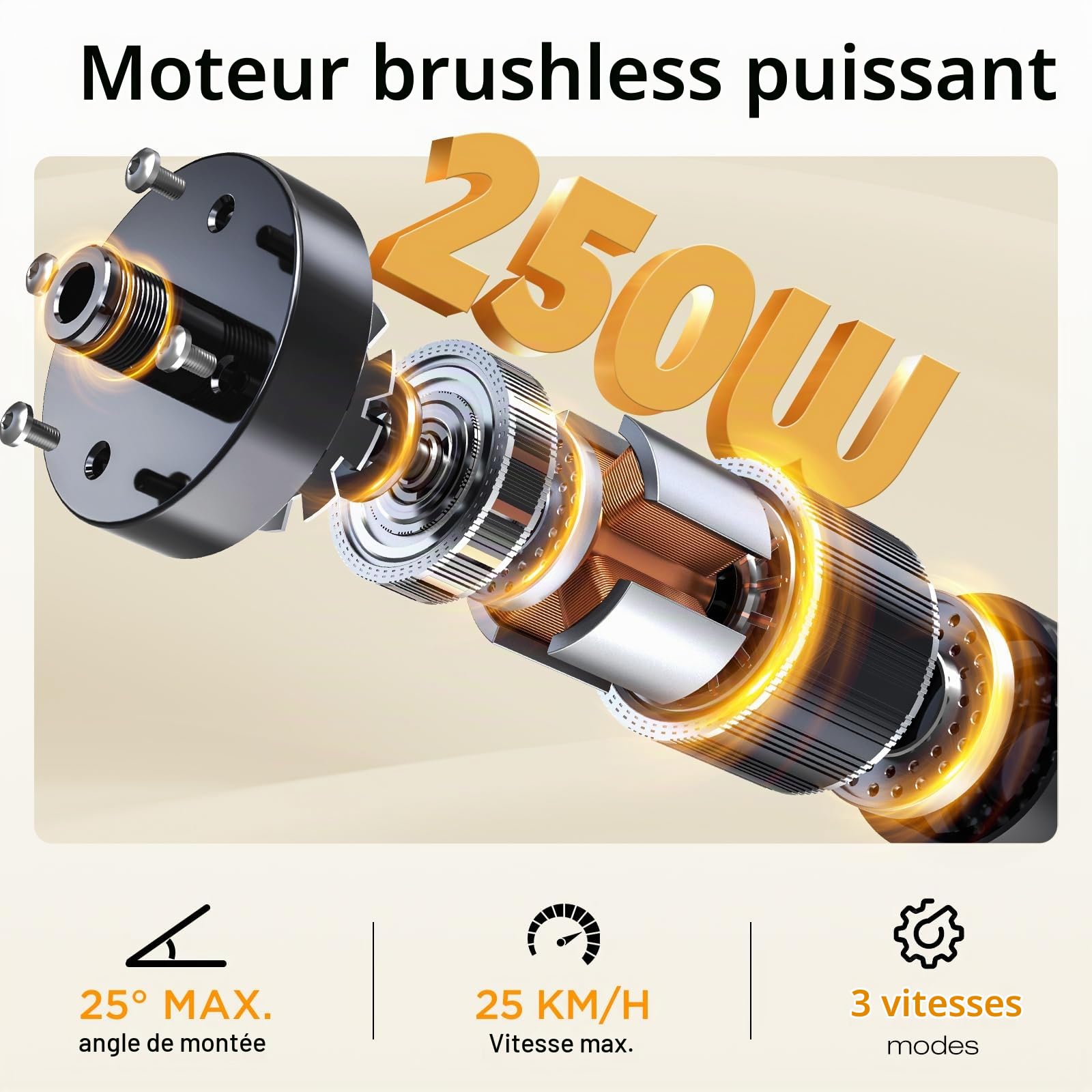 COLORWAYVélo Électrique Adulte Homme 20 Pouces Fat Tire 250W, EBike Homme Puissant Tout Terrain,Pedelec 36V/48V avec Batterie Amovible Grande Autonomie,Double Frein à Disque et Écran LCD Intelligent