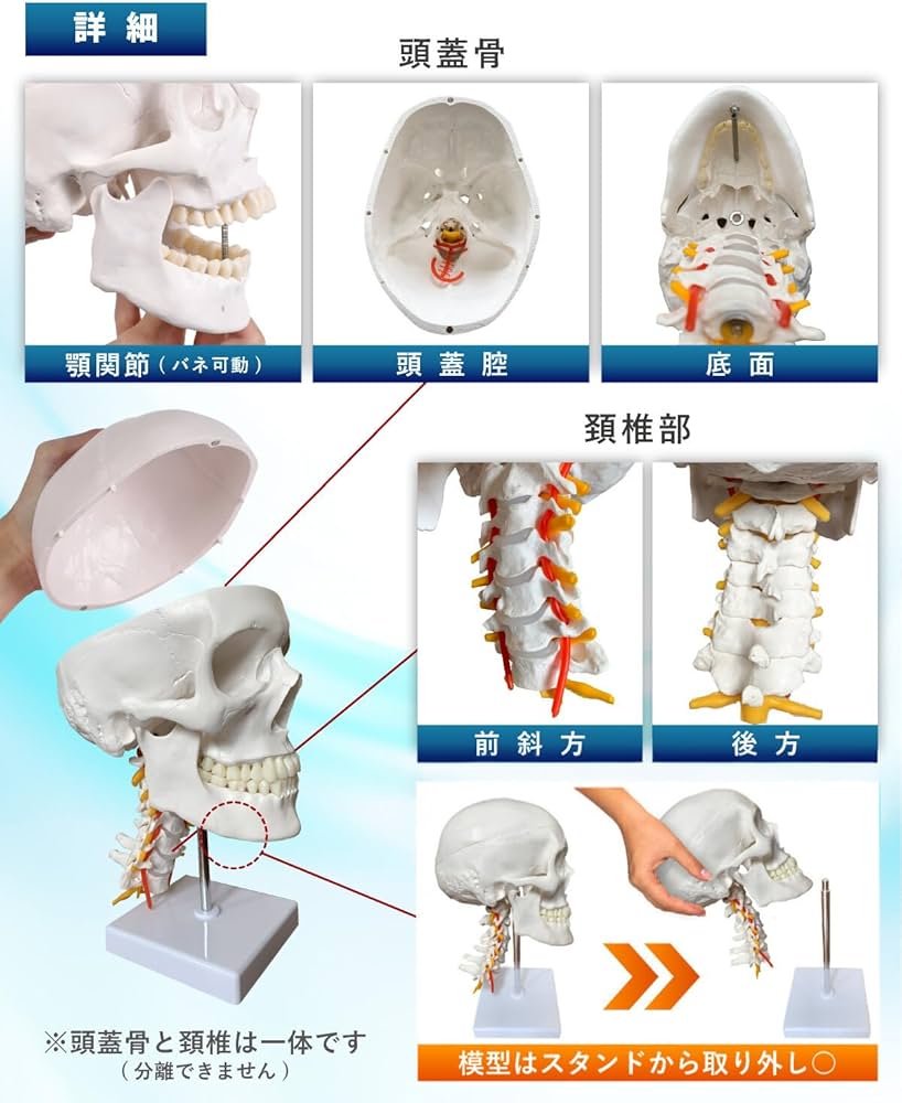71d4lVA-GTL._AC_UF1000,