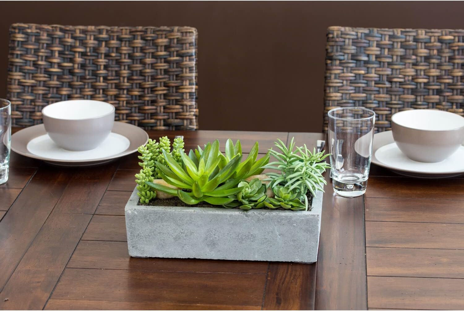 Decorative Outdoor Tabletop Succulent Ensemble in Cement Planter