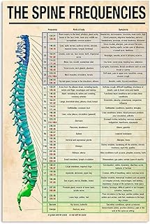 Starotore Spine Frequencies Knowledge Vintage Frameless Posters Medical Wall Art Matte Canvas Print Painting Wall Decor For Bedroom Bathroom Garden Home Living Room Office Hospital Decor 16x20Inch