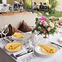 Vista 7 de MCEAST Juego de 8 servilletas de tela de satén y servilleteros, servilletas de tela suave y servilleteros para bodas, cenas de cumpleaños, reuniones