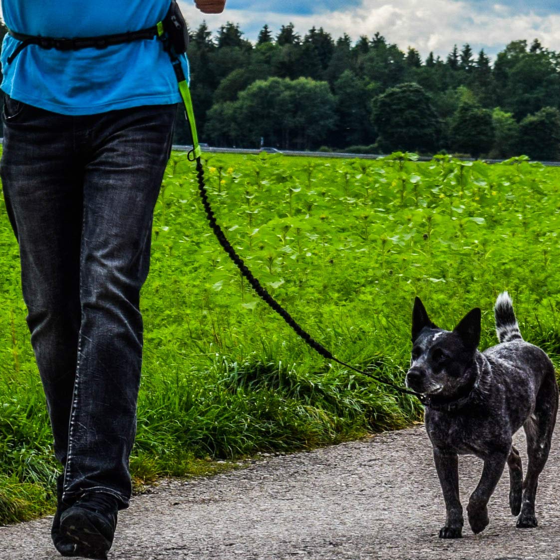 Hundefreund Smycz Do Biegania Dla Małych Psów Do 15 kg – Lekka Smycz Z Pasem Biodrowym, Bez Użycia Rąk, Elastyczna 110–160 cm, Bezpieczna I Wygodna