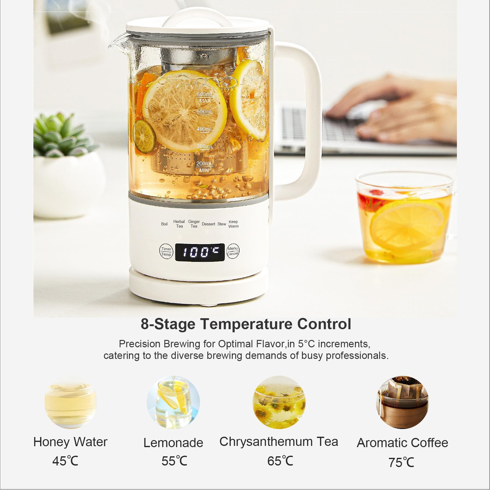 Hervidor de Vidrio 0,6L, 500W Control Temperatura, Táctil | Temporizador 24h, Sin BPA, para Té y Café, Compacto para Oficina y Hogar, Apagado Automático