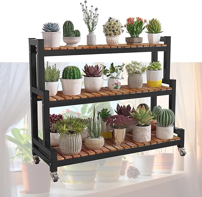 Amazon.com : Plant Ladder Shelf 2 Tier 3 Tier Flower Pot Organizer Rack ...