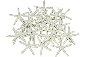 25 Pieces 3.15 Inches Beige Resin Pencil Finger Starfish for Wedding and Home Decor