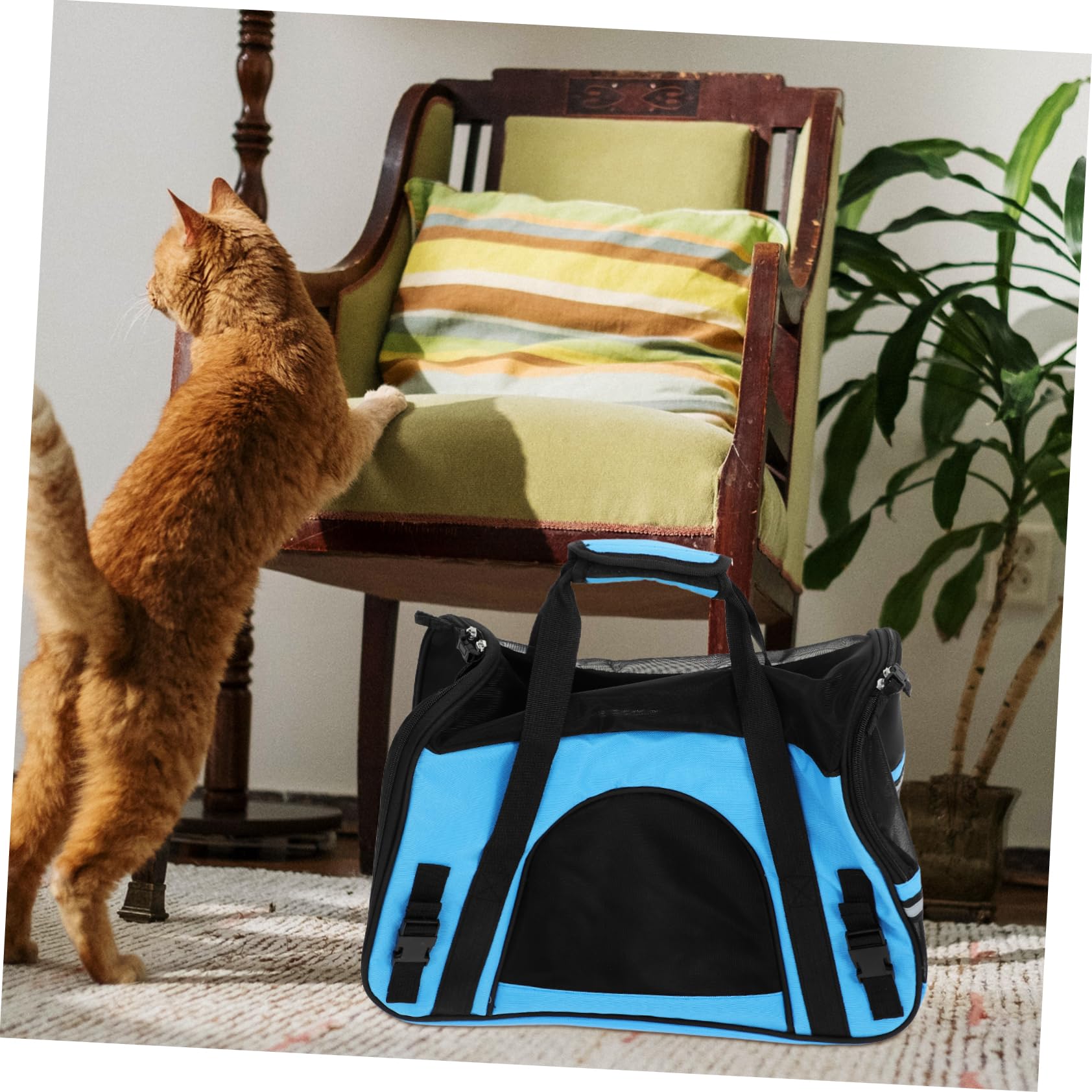 COLLBATH 1pezzi Borsa Trasportino Per Cane e Gatto Realizzata Con Materiali Sicuri e Durevoli Design Traspirante Per Respirare Liberamente Comoda e Resistente Per Viaggiare Ovunque