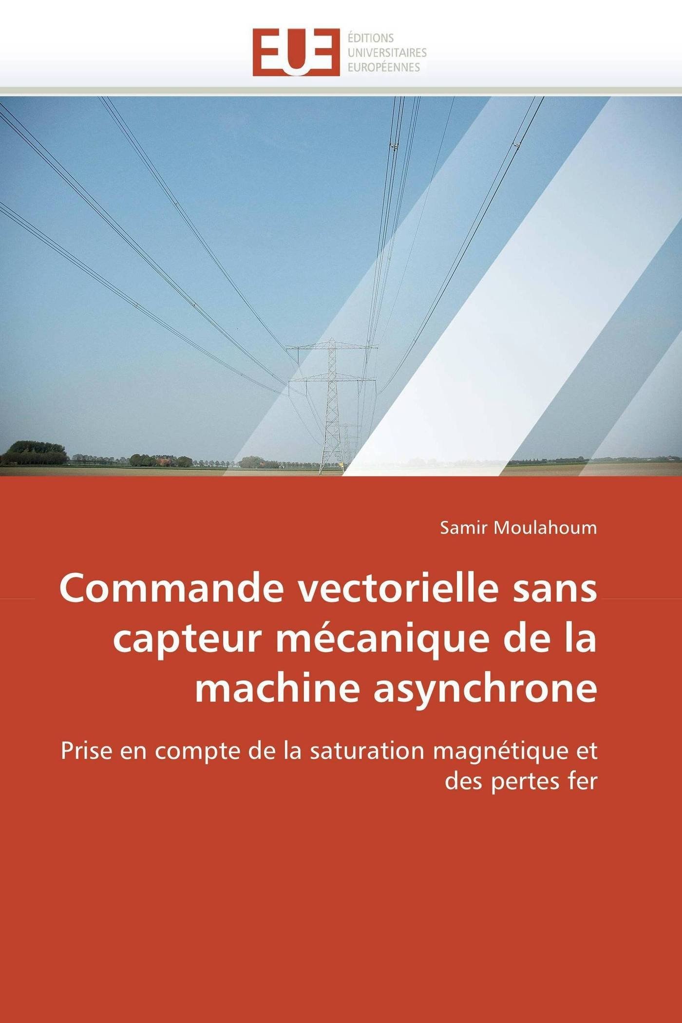Commande vectorielle sans capteur mécanique de la machine asynchrone: Prise en compte de la saturation magnétique et des pertes fer (Omn.Univ.Europ.)