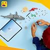 LEGO Creator Acımasız Köpek Balığı ile Hazine Sandığı 31381 – 8 Yaş ve Üzeri Çocuklar için Fener Balığı veya Manta Vatozuna Dönüşebilen Yaratıcı Oyuncak Yapım Seti, Hediye Fikri (379 Parça)