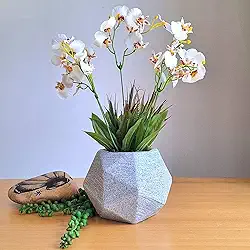 Orquídeas- Arranjo Maresias com orquídeas chuva de Ouro brancas com vaso cinza.