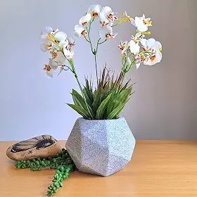 Orquídeas- Arranjo Maresias com orquídeas chuva de Ouro brancas com vaso cinza.