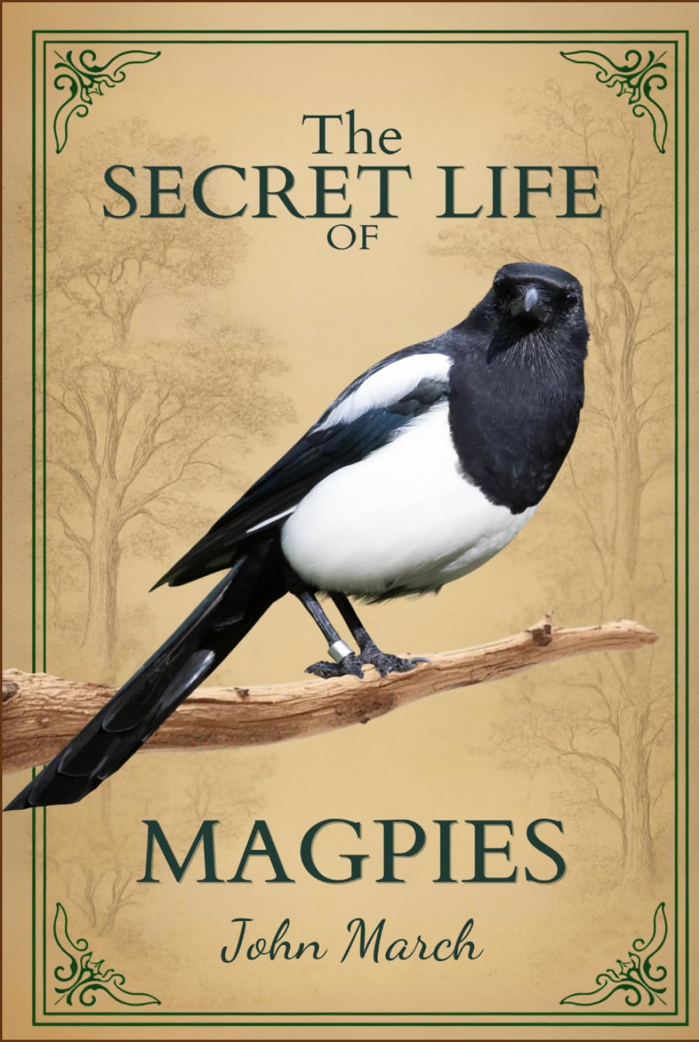 The Secret Life of Magpies