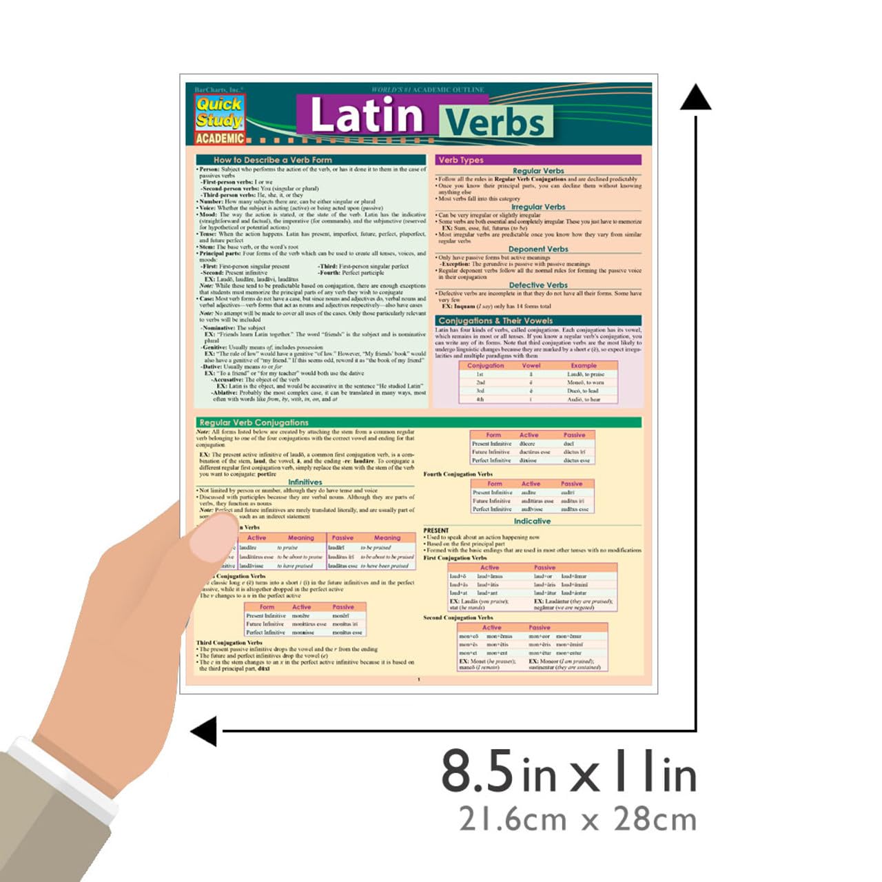 Latin Verbs: Conjugations QuickStudy Laminated Reference Guide (QuickStudy Academic) (English and Latin Edition) - Image 3