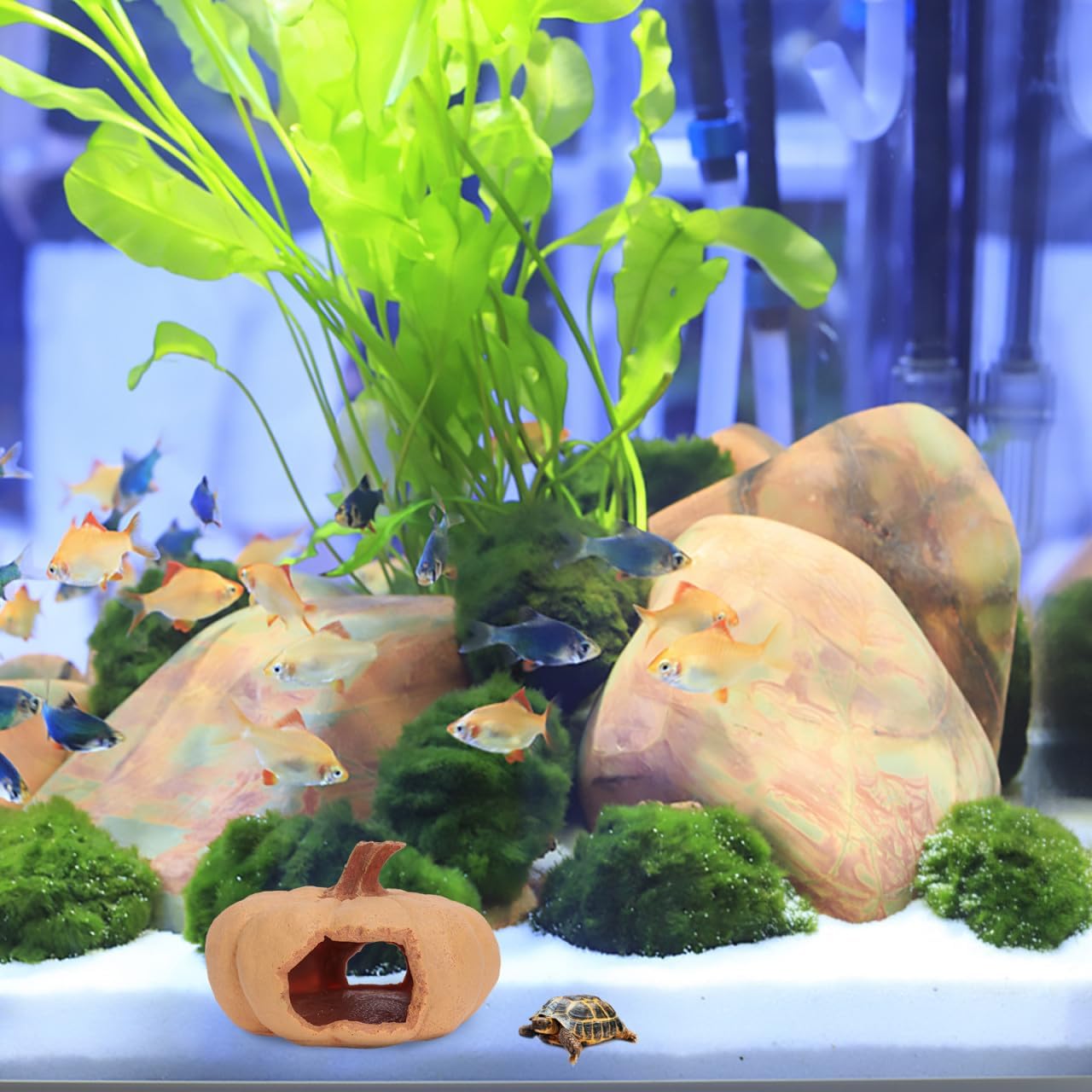 Reptile Pumpkin House Hideout Cave for Fish Tank Habitat Resin Aquarium Ornament for Outdoor and Indoor Reptiles 1pcs Pumpkin for Snakes Geckos