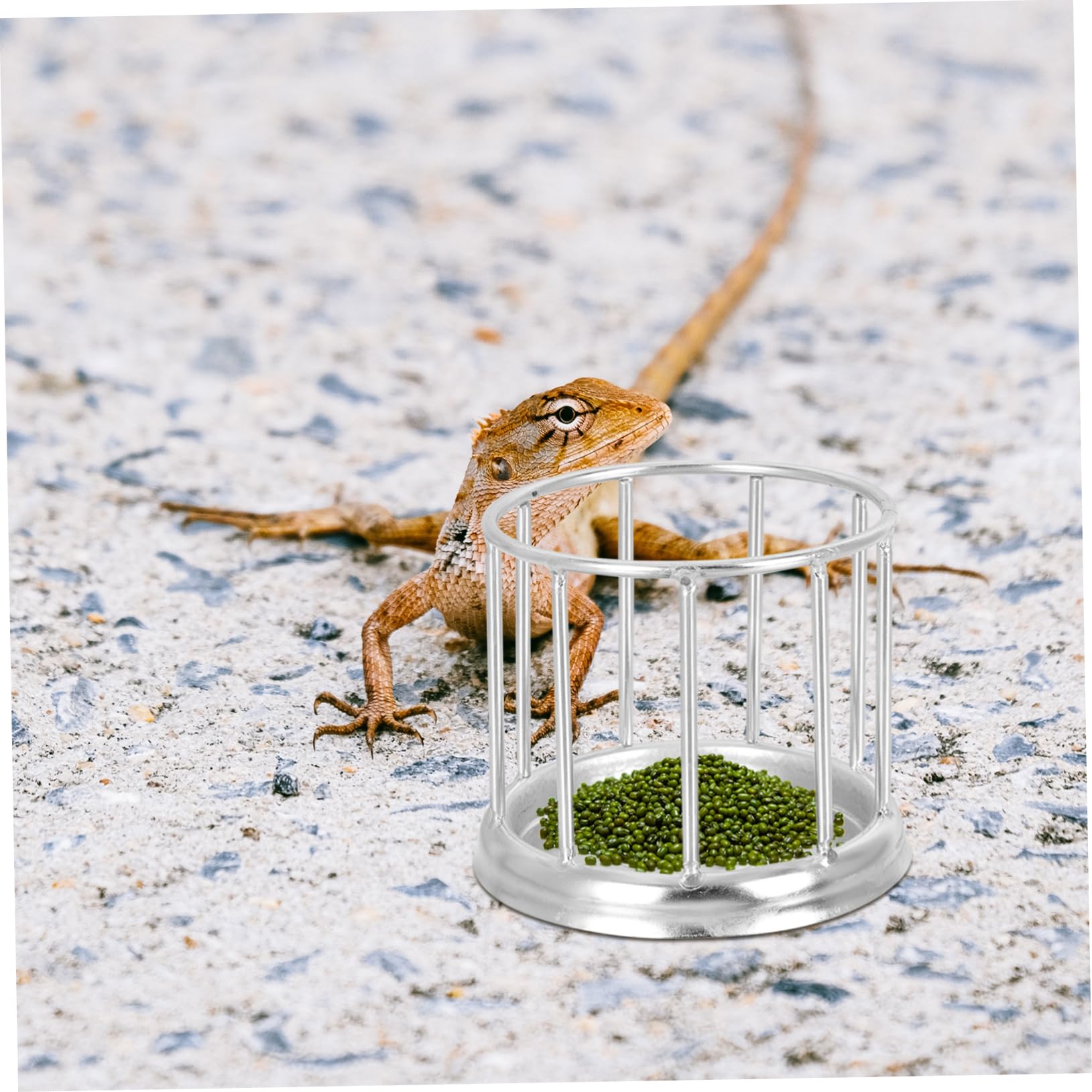 Kisangel 2piezas Alimentador Automático De Agua Inoxidable para Reptiles Plato De Comida para Tortugas y Diseño Estable y Antideslizante para Exteriores y Acuáticas