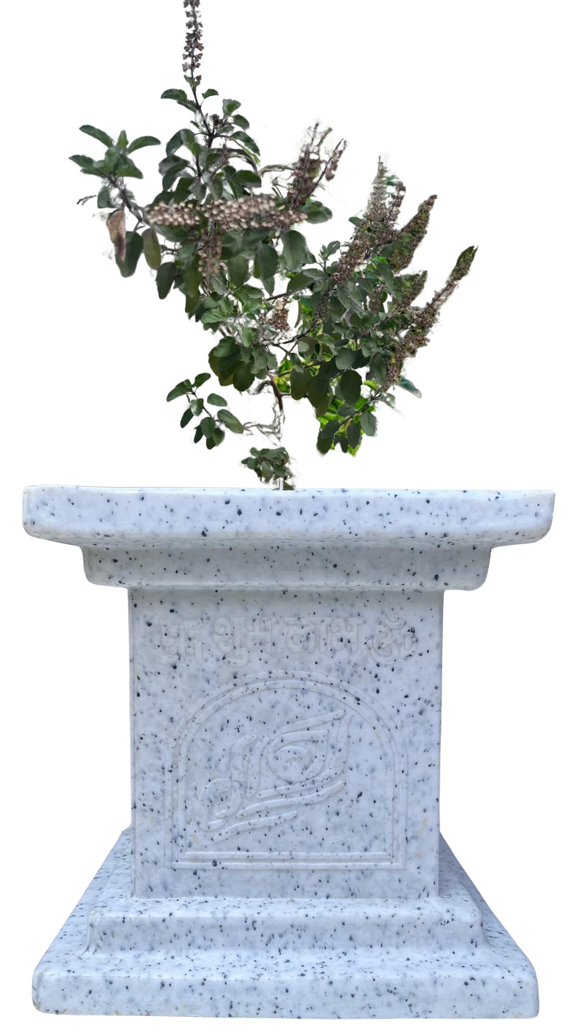 Rooted Life Roto Fibre Tulsi Planter Pot 10 Inch, Beige Color, for Your Home-image-38
