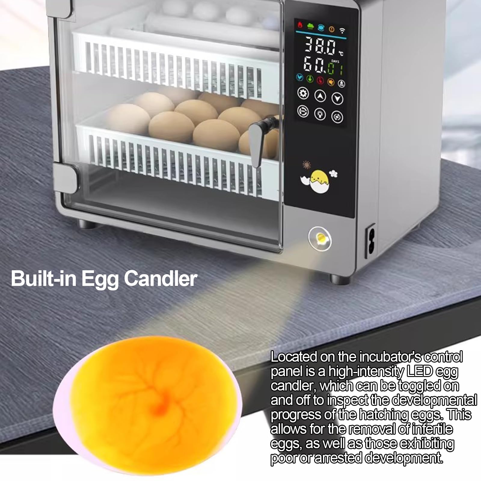Incubadora de Huevos Automática, Eclosionadora Digital con Control de Temperatura y Humedad, para Gallina, Pato, Codorniz y Paloma(50 Eggs)