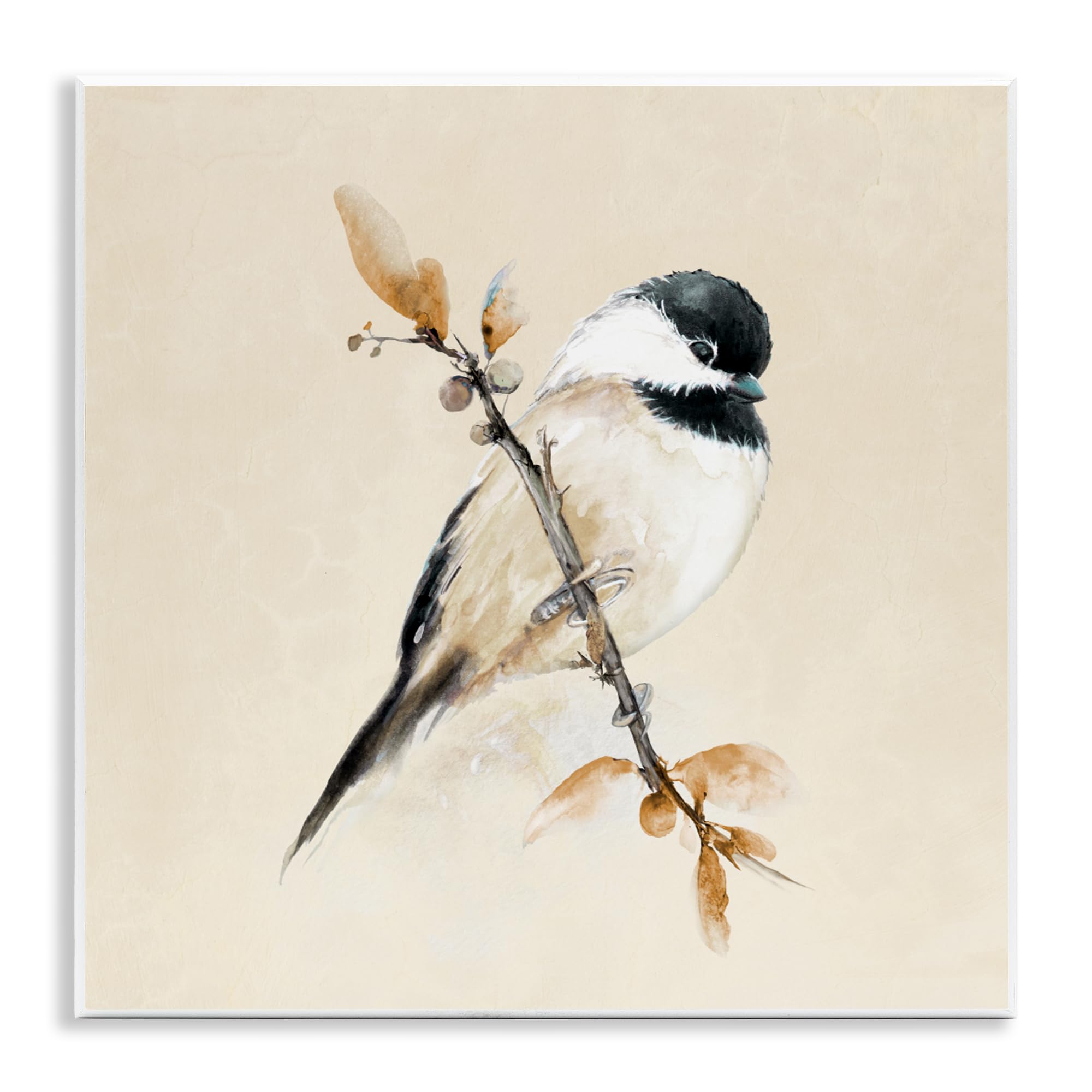 Stupell Industries 'Muted Watercolor Chickadee', Wall Plaque Art, 12 x 12 Inches, Easy to Hang and Sturdy, Made in USA, by Diannart