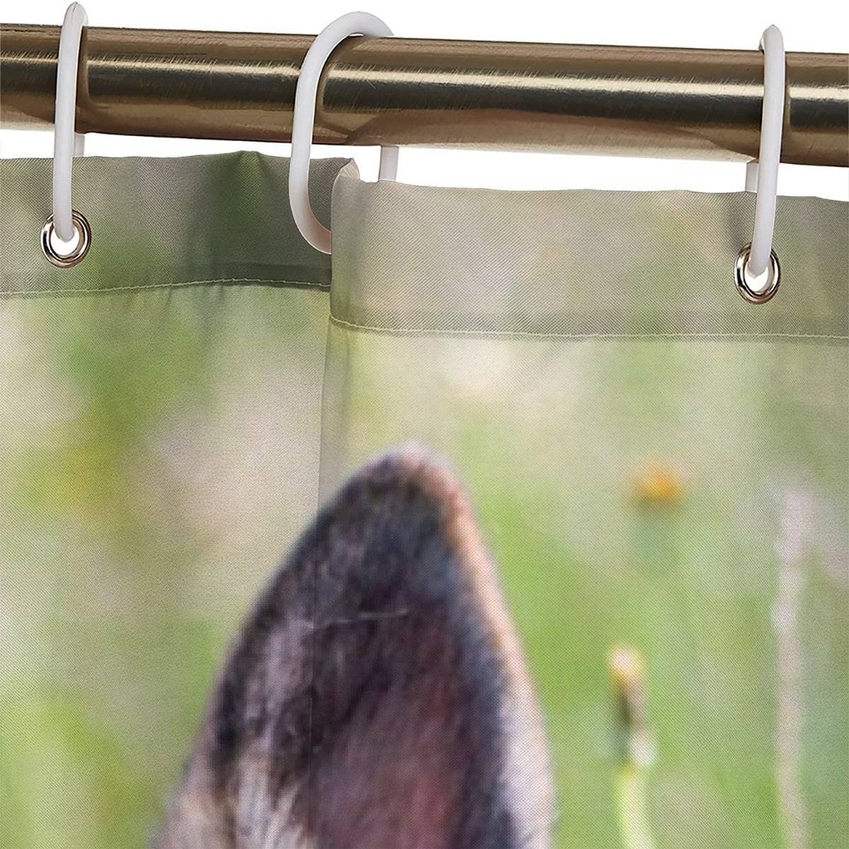View 6