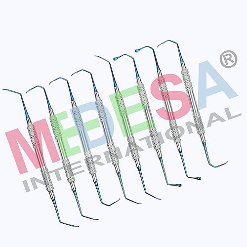 Miniatura 2 de MEDESA - Kit de injerto óseo de implante dental con punta cóncava con elevadores de hongos y pozo de mazo, juego de 14 instrumentos