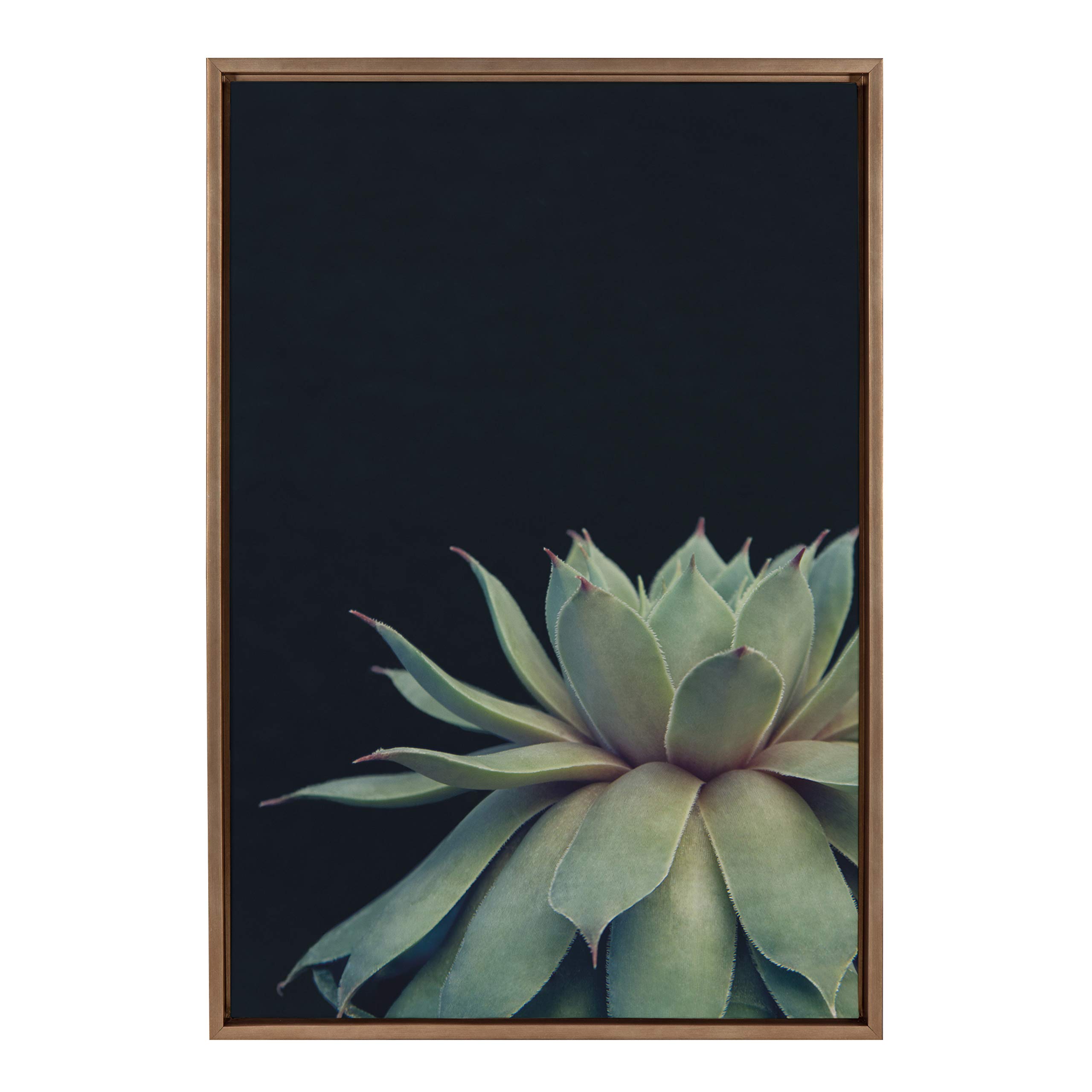 Kate and Laurel Sylvie Succulent Plant Framed Canvas Wall Art, Botanical Green with Black Background, 23x33 Gold