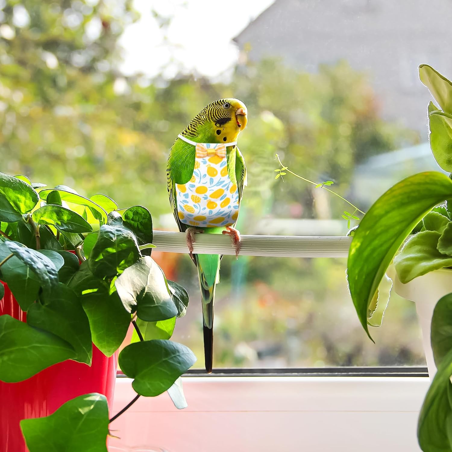 4 Pcs Bird Diaper, Parrot Diaper, Reusable Bird Clothes with Adjustable Straps & Waterproof Inner, Pet Bird Diapers for Budgies, Lovebirds, Cockatiels, and Miniature Macaws