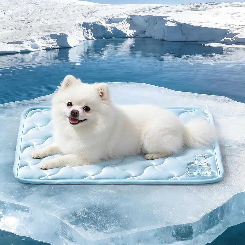 Tapete refrescante para cães e gatos GASUR com Q-MAX > 0.5, lavável e antiderrapante, 50,8 x 40,64 cm, Blue (Small)