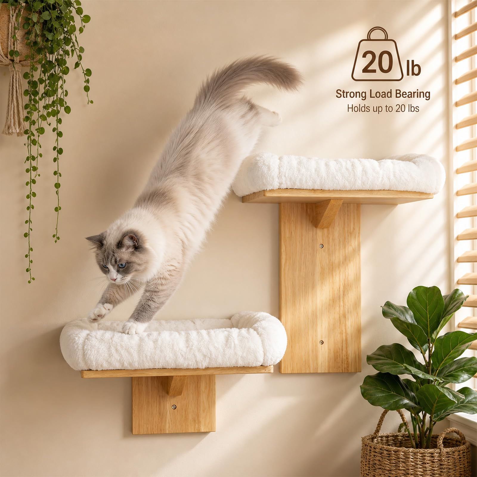 Kletterwand Katzen, Kletterwand Katze 2 Plattform, Katzen Wand Klettern Gummiholz, Katzenkletterwand zum Ausruhen, Klettern und Spielen (Baumwollpolsterung)