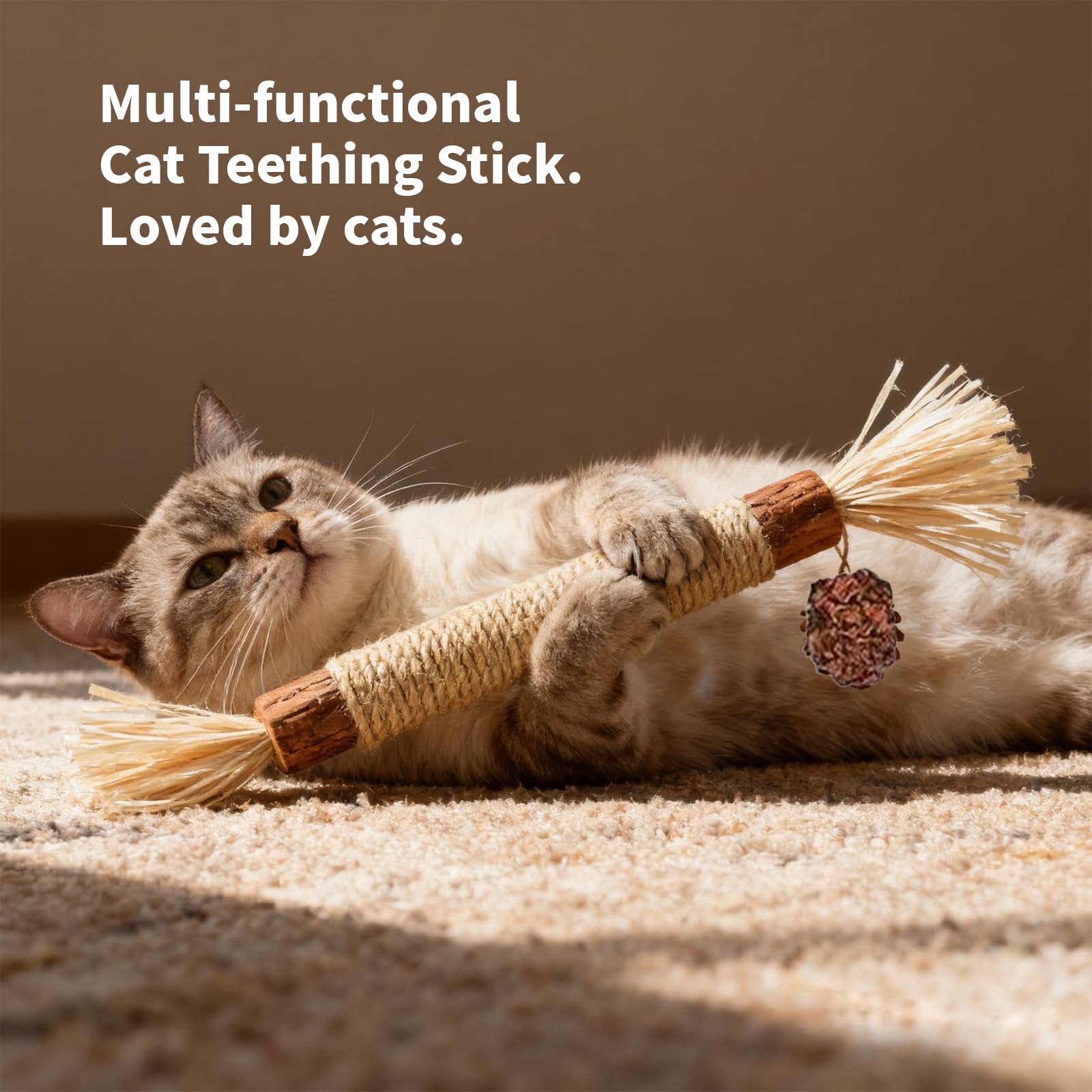 Cat Silvervine Sticks | 5-delige natuurlijke kauwbijtbestendige