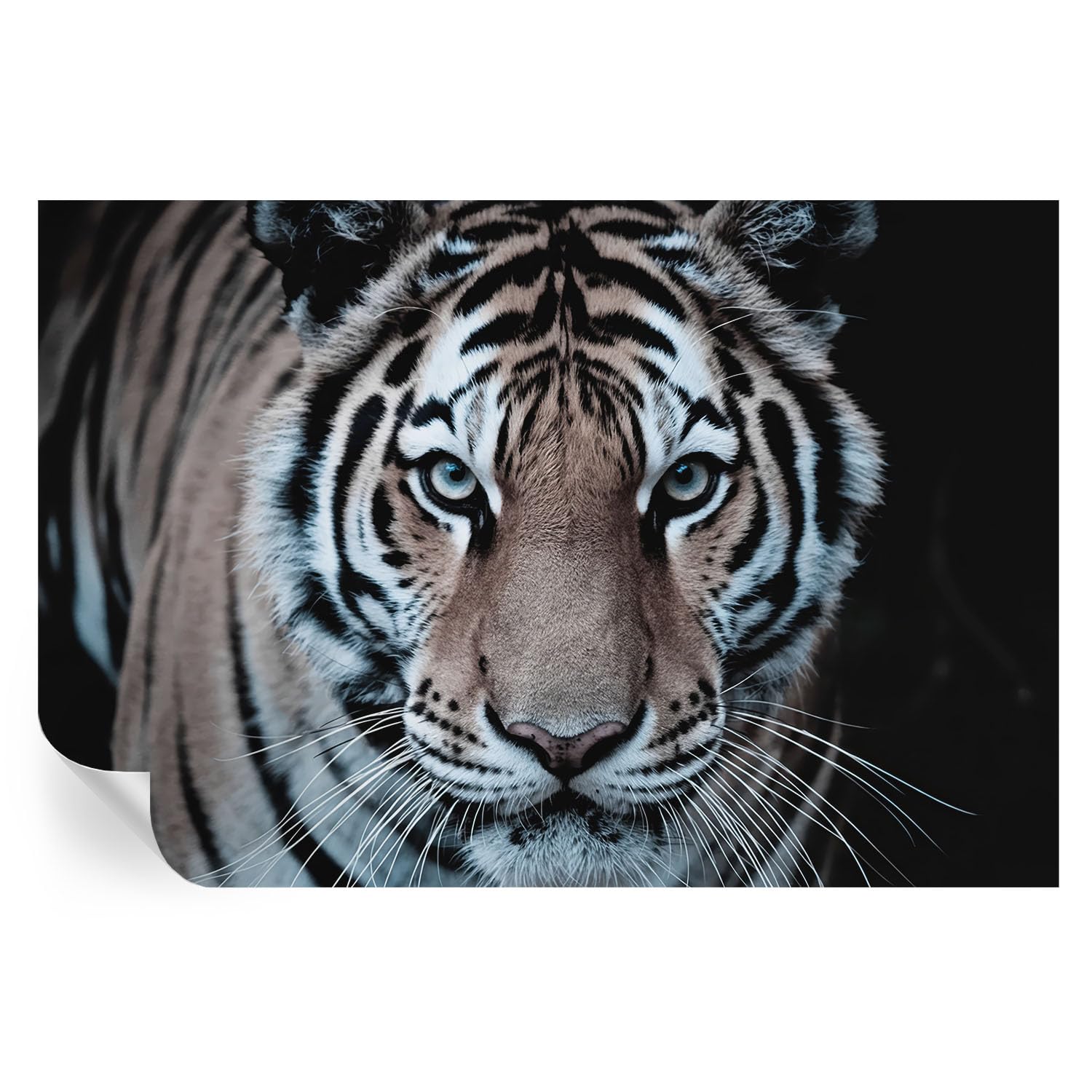 Decoración de pared de tigre de 104x70 cm para renovar el salón de forma rápida y limpia