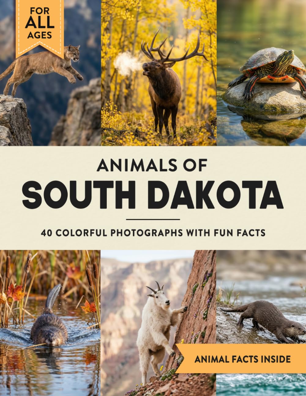 Animals of South Dakota: Learn All About Mount Rushmore State Wildlife in a Fun Fact Picture Book for Kids and Adults