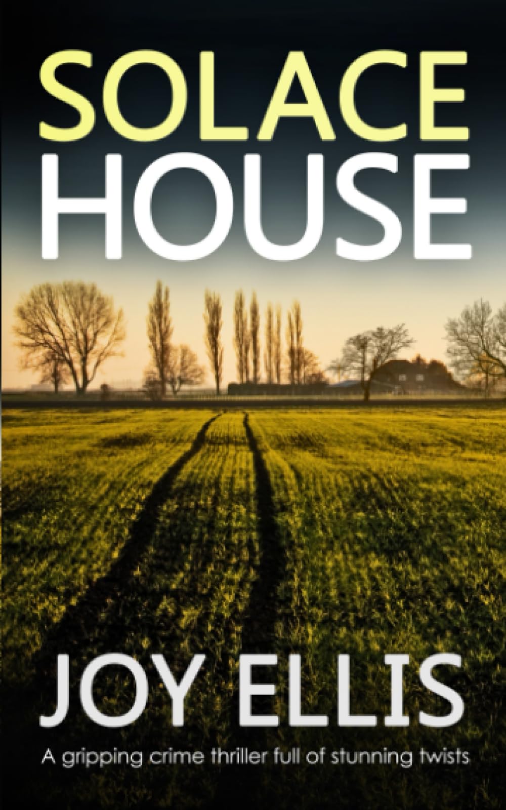 SOLACE HOUSE a gripping crime thriller full of stunning twists (Jackman and Evans detective mysteries)
