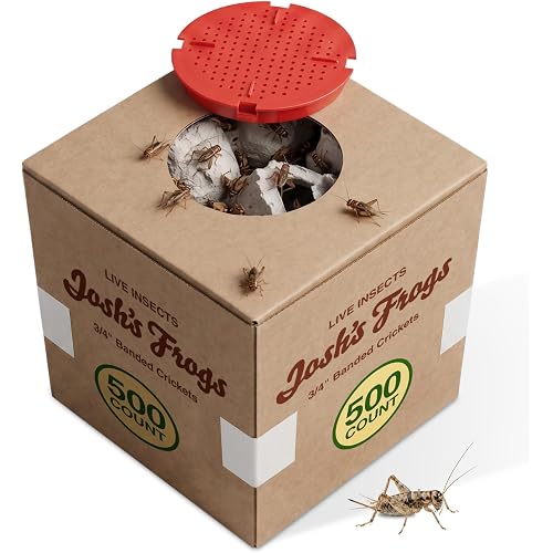 Josh's Frogs 3/4" Banded Feeder Crickets for Pets (500 Count) | Long Storage Protein Food Crickets, Healthy Active Prey for Leopard Geckos, Bearded Dragons, Tree Frogs, Frogs, Birds, Bats