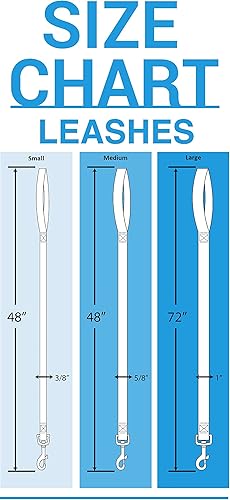 Miniatura 2 de La primera correa NFL para mascotas, Miami Dolphins, M