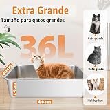 Ver la foto 2