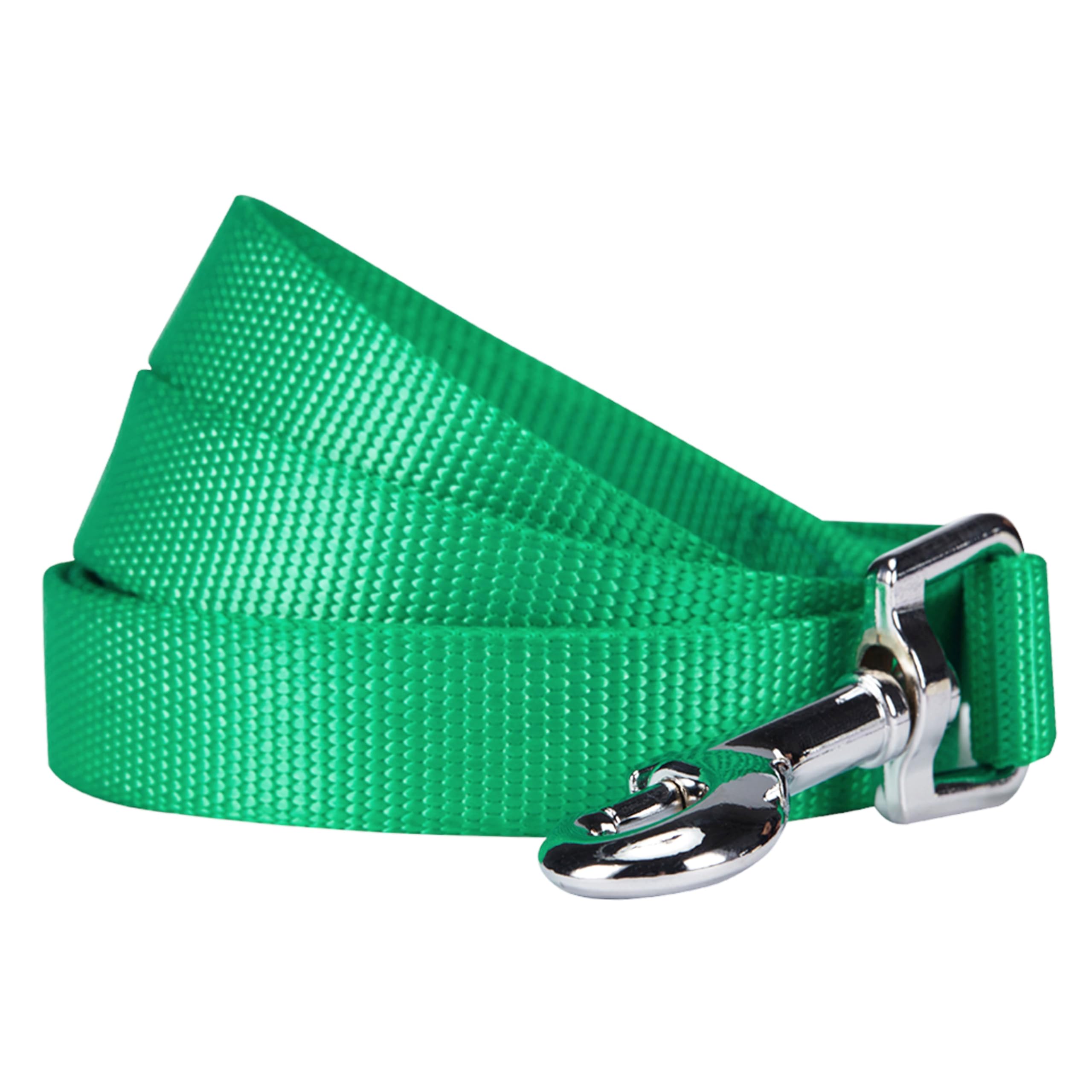 Blueberry Pet Essentials Emerald Dog Leash for Medium - 5' * 3/4" Dogs | Heavy Duty Nylon Lead | Lightweight Puppy & Cat Leash for Walking & Training