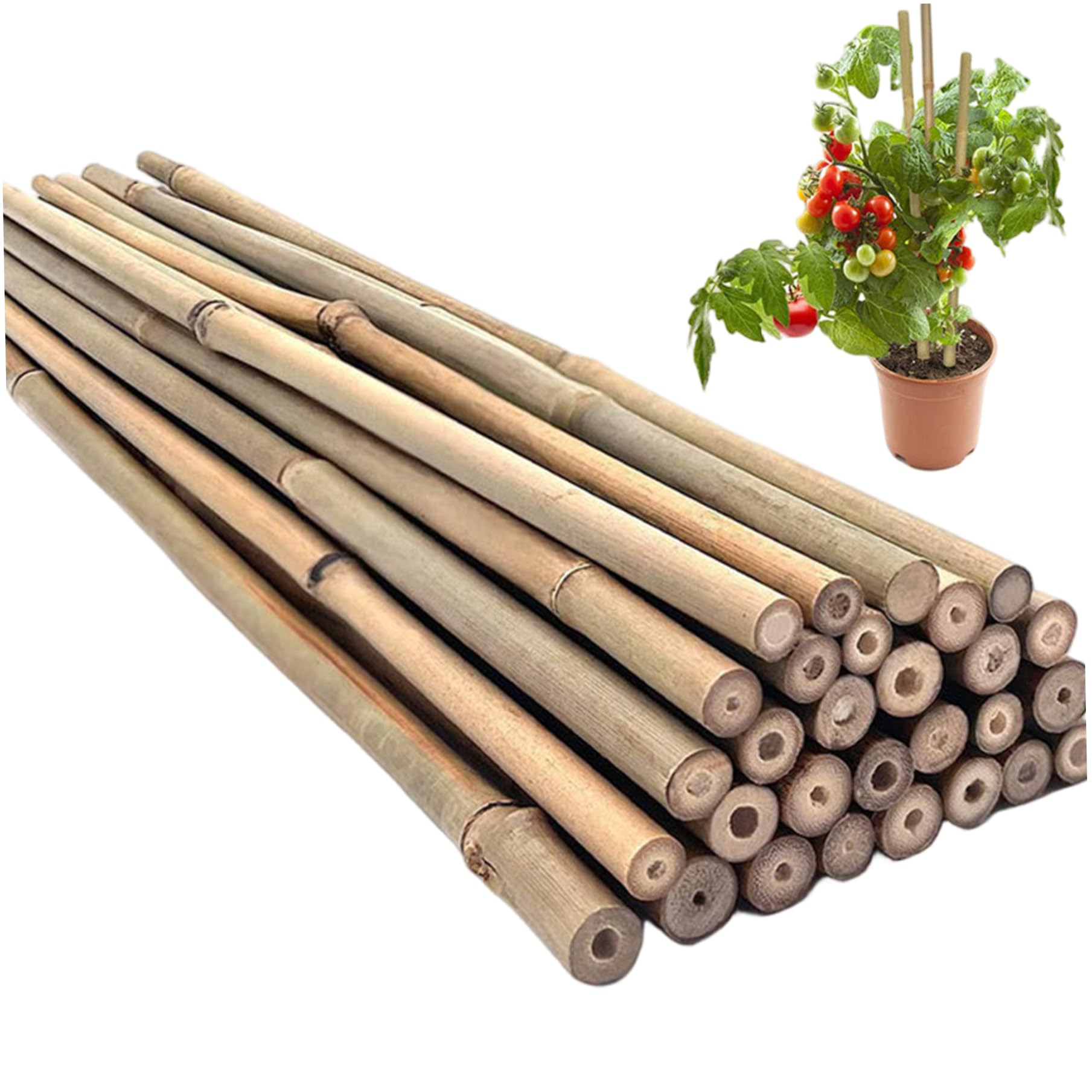 Piquets support pour plantes grimpantes de balcon et tomates en pot