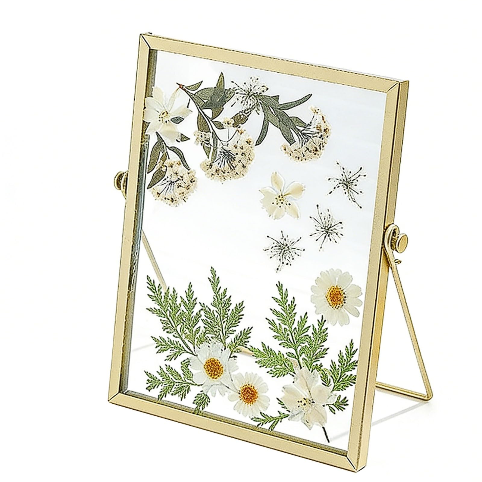 Plant Specimen Preservation Frame, Pressed Dried Flowers Display with Double-Sided Transparent Glass Iron Frame Ornament photograph(15 * 20cm)