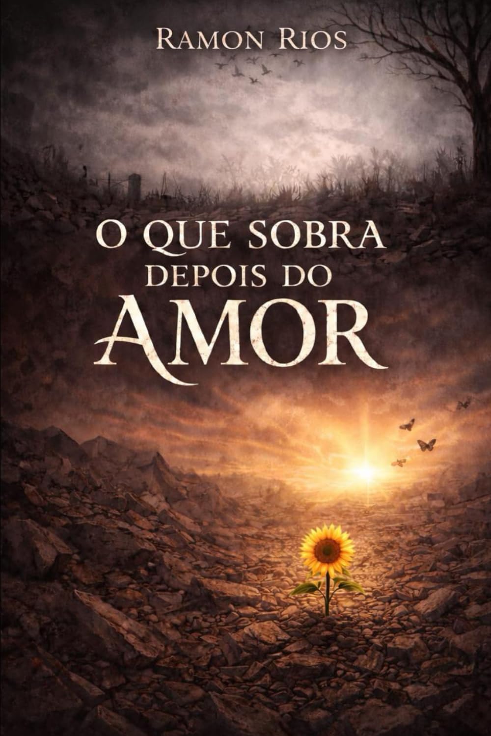O que Sobra Depois do Amor