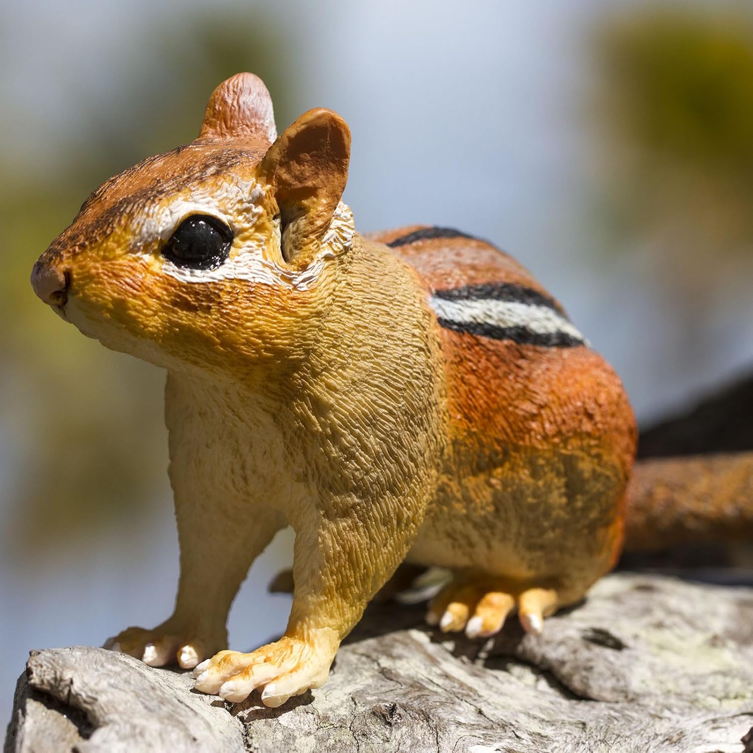 Safari Ltd. Eastern Chipmunk Figurine - Detailed 7" Plastic Model Figure - Fun Educational Play Toy for Boys, Girls & Kids Ages 3+