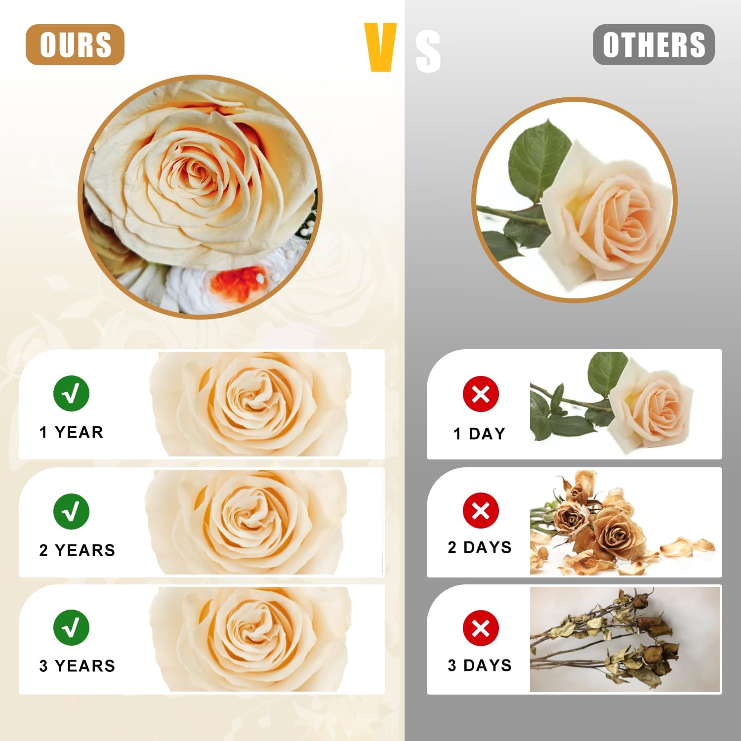 Gifts for Mom, Preserved Rose Flowers in Glass Dome, Forever Flowers for Delivery, Eternal Rose, Birthday Gifts for Women, Mothers Day for Grandma, Wife, Daughter, Anniversary(Champagne)