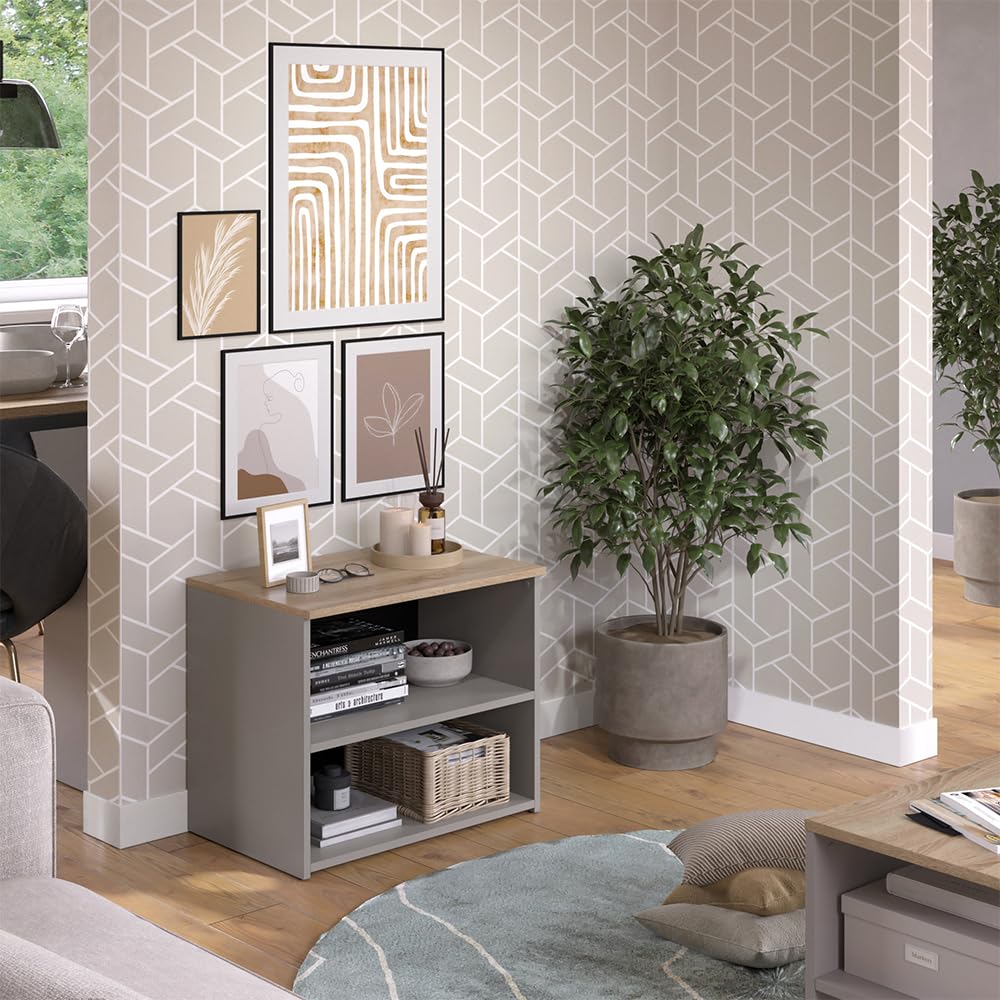Vicco Meuble TV Wido, Grège, 60x50cm avec 2 Compartiments, adapté comme Support TV avec Passage de câbles