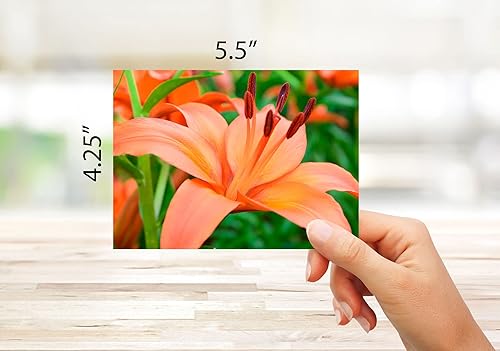 Miniatura 2 de Small World Greetings Tarjetas de notas de flores de primavera, 24 unidades, interior en blanco con sobres, tamaño A2, 5.5 x 4.25 pulgadas,