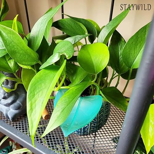 Miniatura 3 de STAYWILD 12 embudos de riego para macetas de interior, dispositivos de embudo de riego en forma de hoja, bonitas hojas de riego y embudo de riego