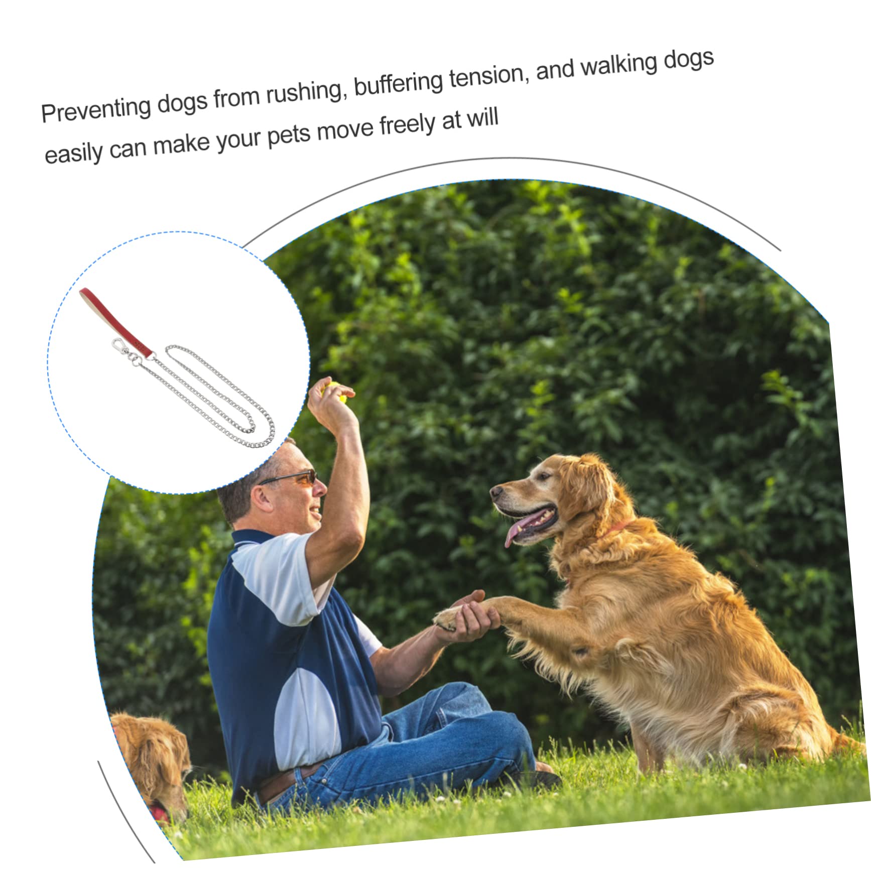 VANZACK Cadena De Acero Inoxidable para Mascotas con De Acolchada Correa De para Perros Suministros para Mascotas para Caminatas y Entrenamiento